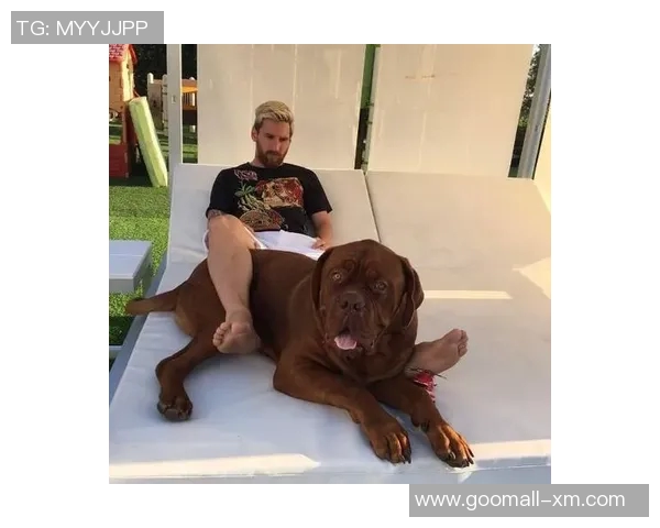 狗子足球明星盘点有哪些值得关注的球员和他们的精彩表现