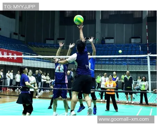 王静独家分享排球心得与技巧助你提升球技的秘诀与经验