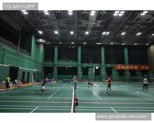 深圳羽毛球队精英赛战术分析与表现评估全景解读