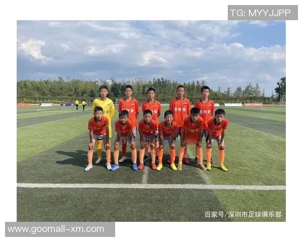 深圳足球队在精英赛中的个人能力分析与表现评估