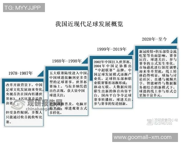 深入分析上海足球队的运营策略与发展模式探讨
