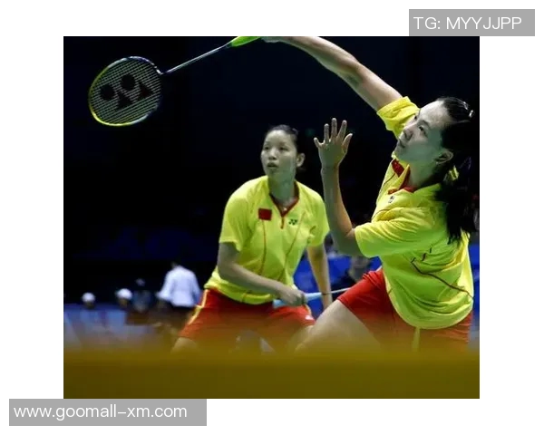 全国锦标赛回顾：成都羽毛球队战术分析与表现评估