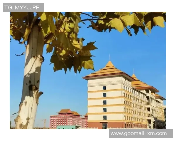 北京羽毛球队崛起之路：从默默无闻到赛场辉煌的成长历程