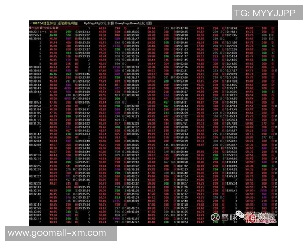 广州排球队运营分析：成功经验与不足之处的深度探讨