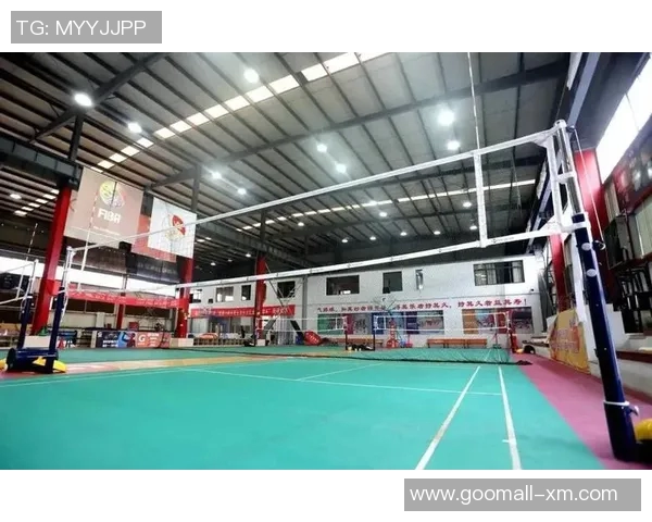 杭州排球队运营揭秘:探索排球热点背后的成功之道 杭州排球队运营揭秘:探索排球热点背后的成功之道