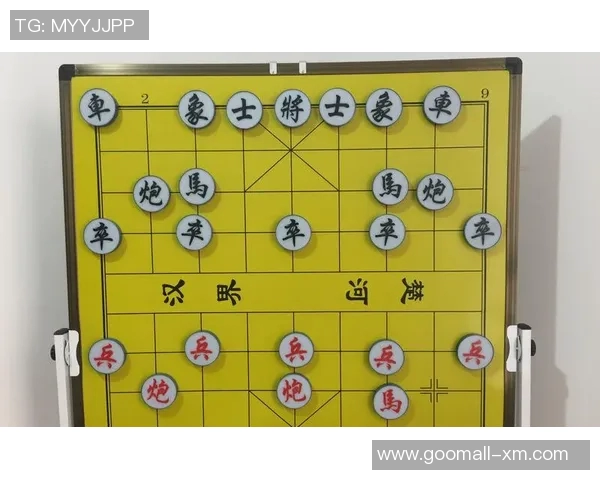 武汉排球队包夹战术分析：得失与改进之路探讨