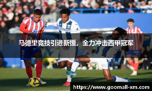 中欧体育官网