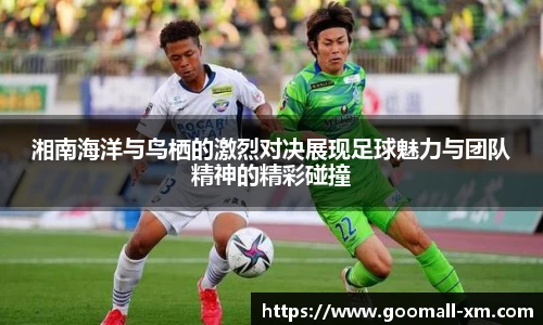 中欧体育网址