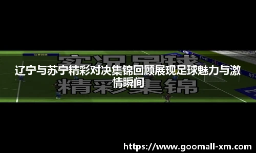 中欧体育