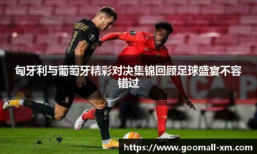 中欧体育