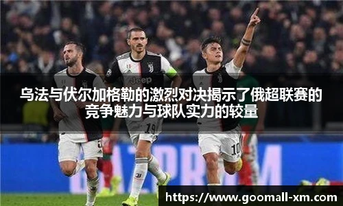 中欧体育官网